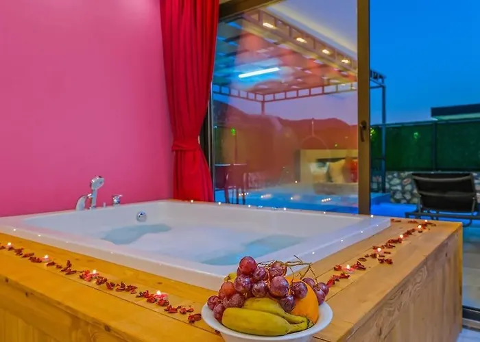 Ortac 2 Doga Icerisinde, Korunakli *